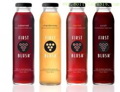 飲料瓶廠(chǎng) 果汁瓶 玻璃瓶